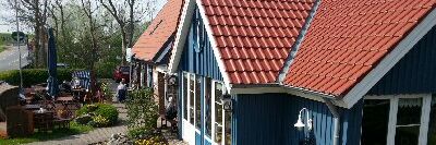 fisch und meer_1.jpg