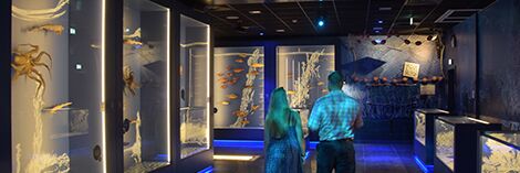 expedition nordmeere 1.jpg